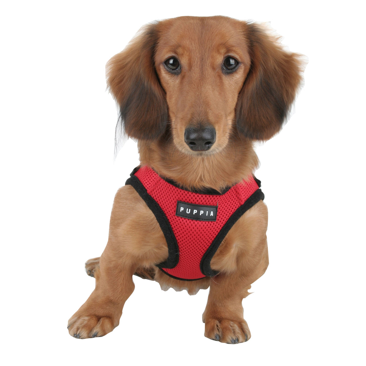 Puppia soft vest harness australia best sale