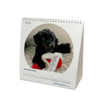 Tail Ovation 2022 Calendar - Dachsund Rescue Australia Donation (Charity number CFN/23452)