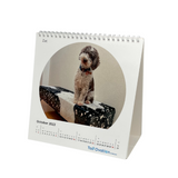 Tail Ovation 2022 Calendar - Dachsund Rescue Australia Donation (Charity number CFN/23452)