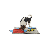 Buster Activity Mat - starter kit with 3 activities