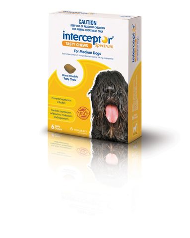 Intercetor Chew, Yellow medium dogs