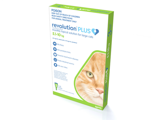 Revolution Plus for large cats